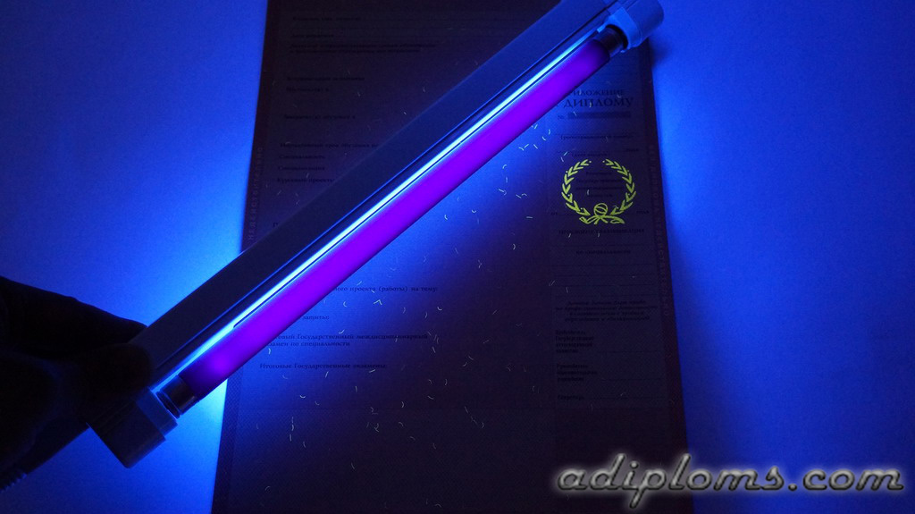 Диплом техникума, колледжа 2004-2006 Фото Диплом техникума, колледжа 2004-2006 Фото